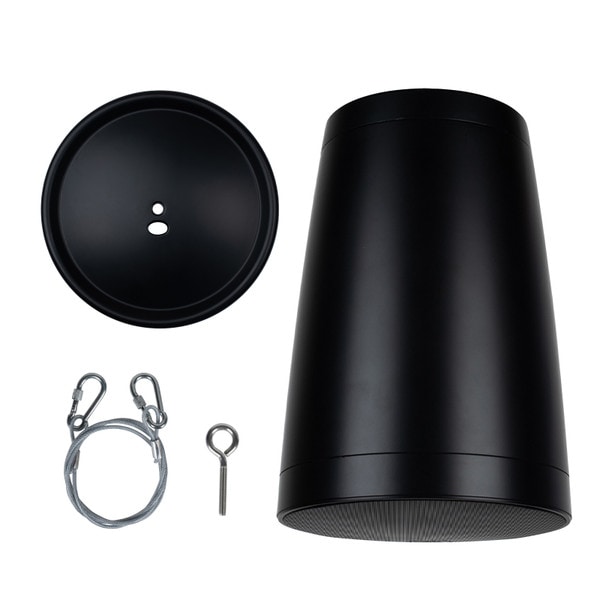 Main product image for Dayton Audio 8" Commercial Audio Pendant Speaker 70V/100V/8 Ohm Black WP80XTB310-096